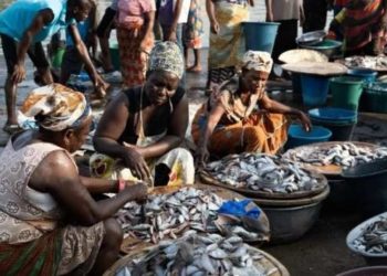 Fisheries Commission urges fishmongers to adopt personal hygiene