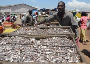 Stakeholders dialogue on illegal fishing