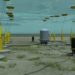 TC’s Energy’s sea power project to be on stream 2022