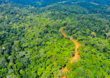 CBO prepares to implement CREMA in Kayoro