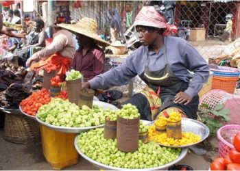 Global hunger could double due to COVID-19 blow – UN