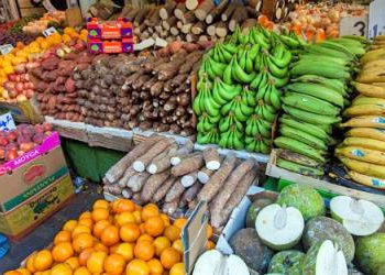 AU moves to tackle food insecurity amidst COVID-19 impact