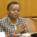 Potential trade tensions under AfCFTA being assessed