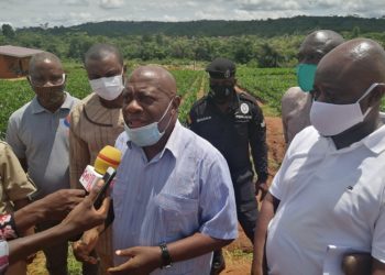 Over 1 million oil palm seedlings to be offered under alternative livelihood this year