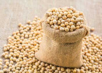 MoFA seeks legal backing to restrict soybean export