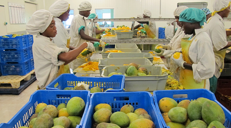 Ghana’s agribusiness industry set to explore new EU markets