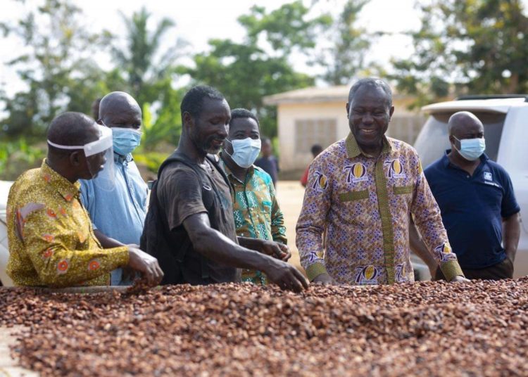 Gov’t set to increase price of cocoa this year – COCOBOD