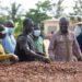 Gov’t set to increase price of cocoa this year – COCOBOD