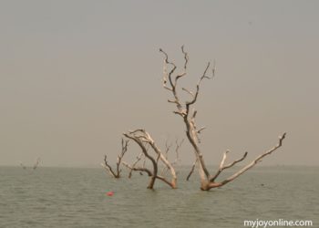 Maritime Authority uproots tree stumps in River Oti