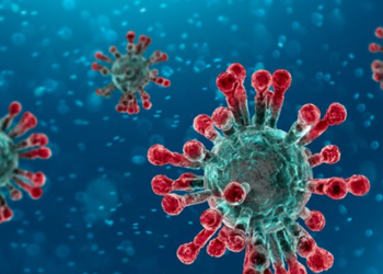 Navigating small businesses through COVID 19