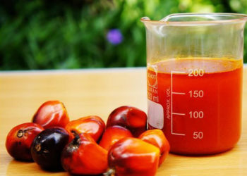 Local oil palm losing market share from 50% benchmark valuation cut