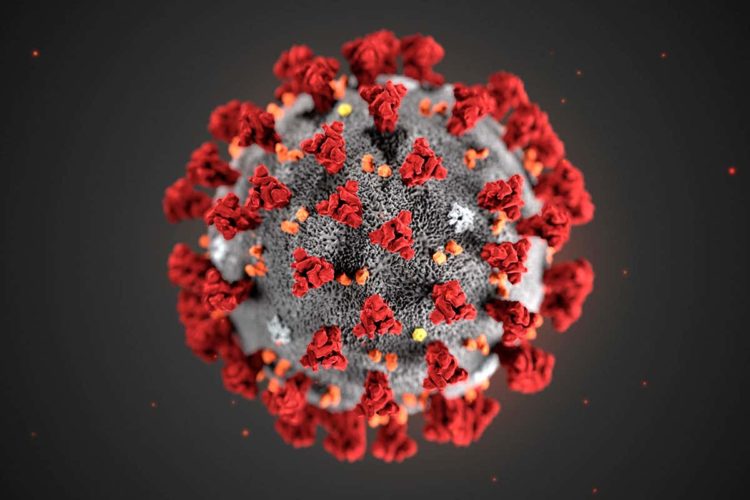 Coronavirus may have spread in Wuhan in August, Harvard research shows, but China dismissive