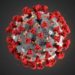Coronavirus may have spread in Wuhan in August, Harvard research shows, but China dismissive