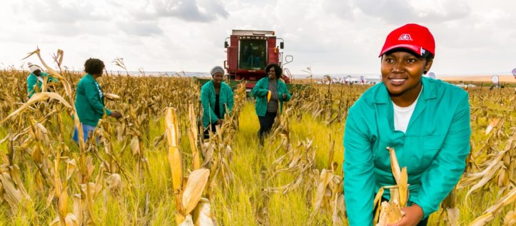 Coronavirus may cost Africa US$4.8bn in crop exports