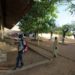 Senegal postpones school restart after teachers test positive for coronavirus