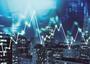 The State is the most important player in the economic game