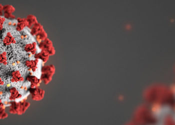 COVID-19: 2020 fiscal deficit revised to 11.4% of GDP