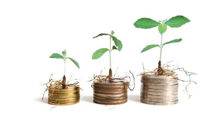 Increasing Access to Finance for Agribusinesses