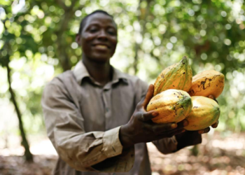 Rainforest Alliance launch 2020 certification program