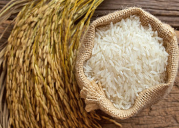 SEC approves additional commodity to GCX