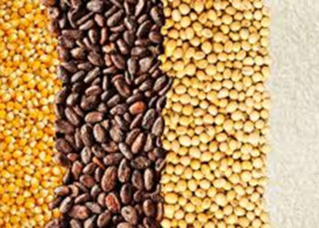 New GCX initiatives aim  to attract more commercial trades