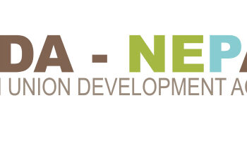 AUDA-NEPA launches the MSME Academy for Africa’s MSMEs