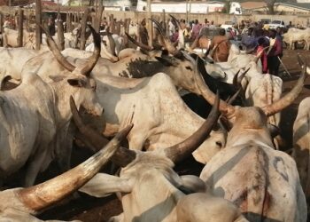 Second LiPF Tradeshow launched in Accra