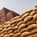 COCOBOD make 742,725 tonnes cocoa purchases in 2019/2020