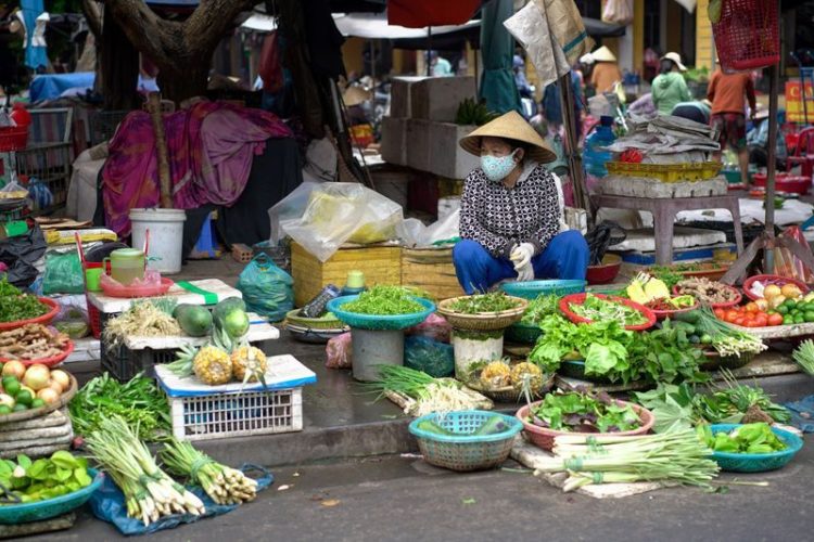 World food price index rises in July, extending rebound