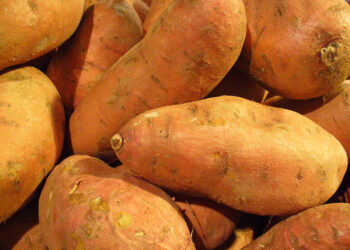 High value markets identified for Ghana’s sweet potatoes