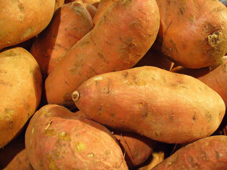 High value markets identified for Ghana’s sweet potatoes
