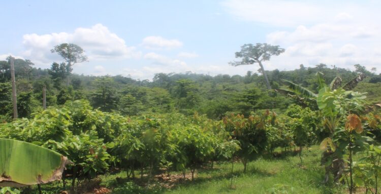 Ghana pushes ahead with efforts to reduce emissions from deforestation, forest degradation