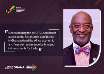 CEO of the Ghana Investment Promotion Centre, Yofi Grant