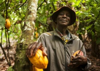 Ghana, Ivory Coast face off with global markets cocoa buyers over LID
