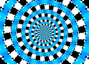 Work Productivity Series: Teasing the Mind