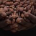 Cargill studies suggest chocolate makers need sustainability endorsement