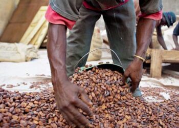 Ivory Coast lifts suspension of Hershey cocoa sustainability schemes