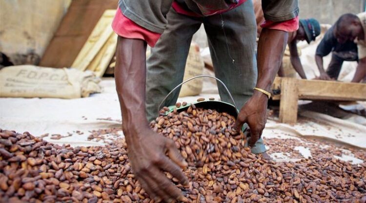 Ivory Coast lifts suspension of Hershey cocoa sustainability schemes