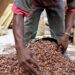 Ivory Coast lifts suspension of Hershey cocoa sustainability schemes