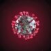 Banks may experience High Non performing Loans after the COVID-19 Pandemic
