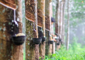 Erasing the frontiers of Ghana’s economy