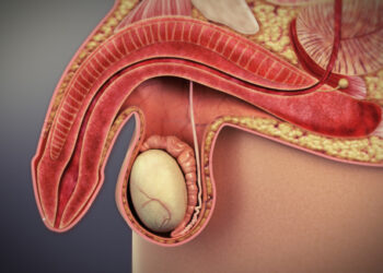 Aside from erectile dysfunction, Covid-19 may cause male infertility – Justice Yankson