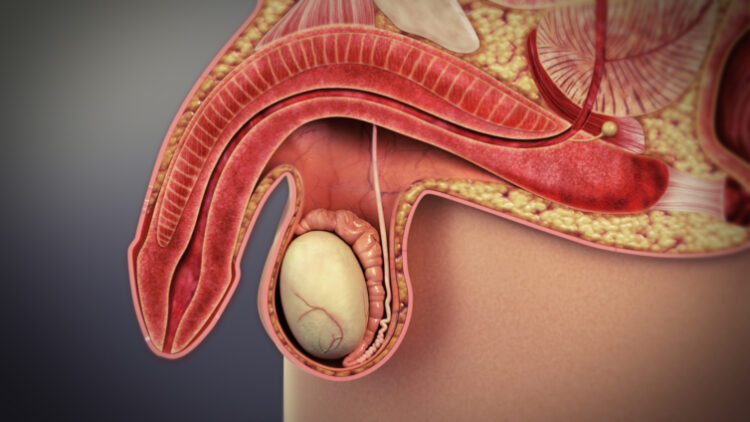 Aside from erectile dysfunction, Covid-19 may cause male infertility – Justice Yankson