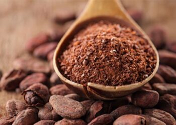 Provide small cocoa processors with sustained financial support – Banks urged