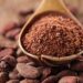 Provide small cocoa processors with sustained financial support – Banks urged