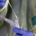 Gov’t Announces Free Covid-19 Tests At Public Labs