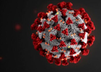 COVIDNOMICS: Ghana’s Ports &the future of African Continental Free Trade