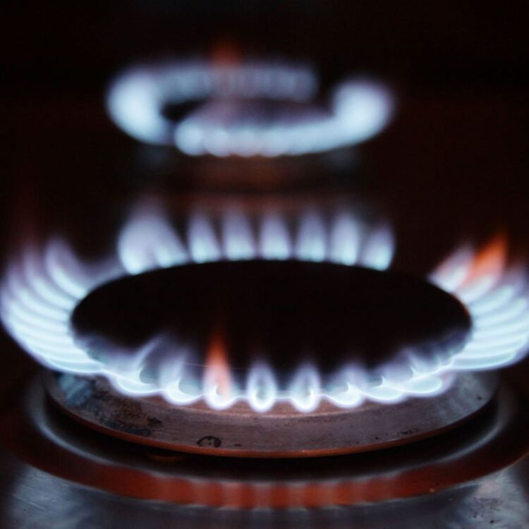 Bitterness over British Gas pay and conditions row revealed to MPs