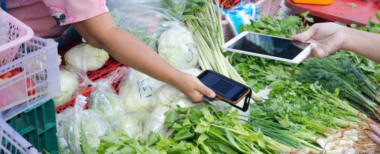 Making The Digital Money Revolution Work for All