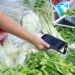 Making The Digital Money Revolution Work for All